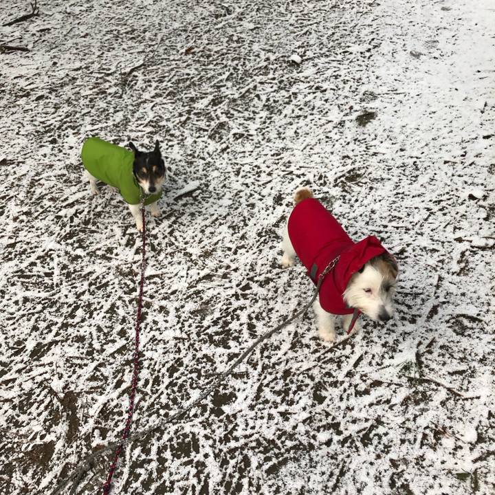 8218328f 38ec 4347 8fba 273cf26dbed3 1548995710860