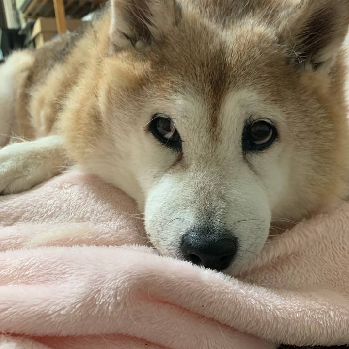 82187324 4a8c 44d4 81b0 32c821ae4be3 1635171977948