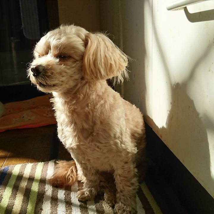 821889fb 9b67 4cb0 9a5a aabff4d60126 1612969288992