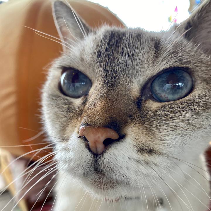 8218919c 7810 4a98 84e8 5434aebeaa0a 1593565055271