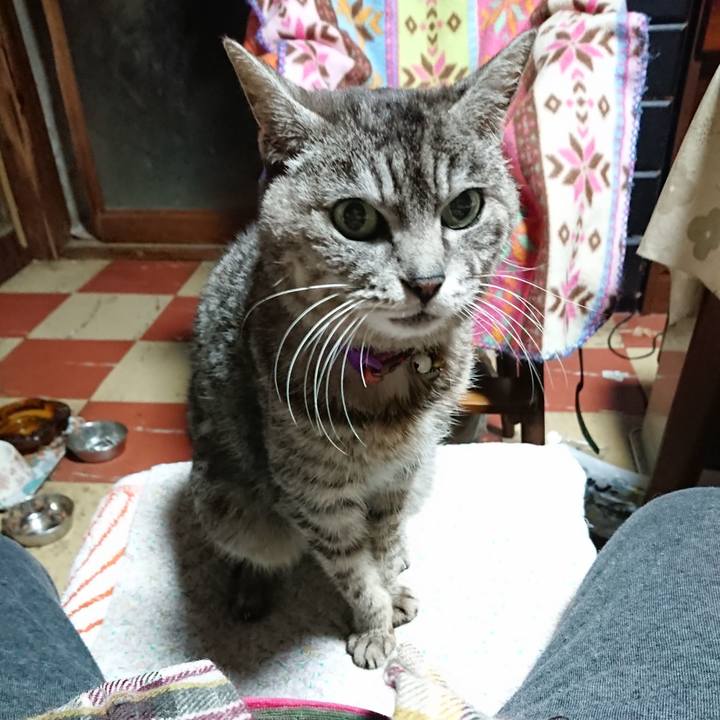 8218a7a0 4a54 44c0 916f 99cd4a7afcc8 1585426907560