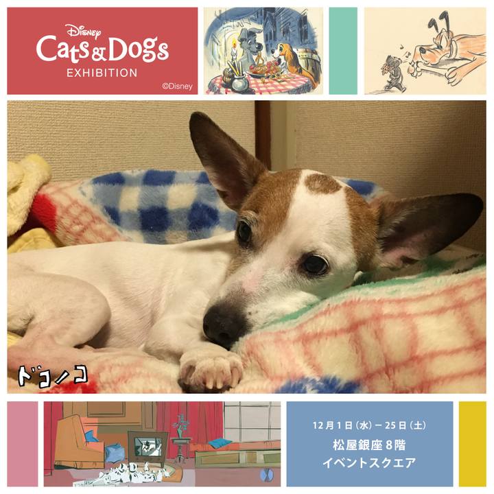 8218abe2 1611 4e57 9b8f fc0512fa910b 1638550687943