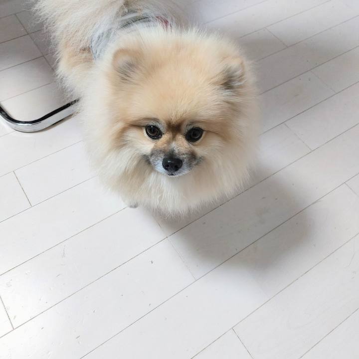 8218ade3 c32f 4ef8 8b22 820fe4654a76 1703339353268