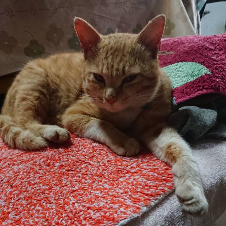 8218d022 51d2 48df b485 fe017160acd4 1555486390431