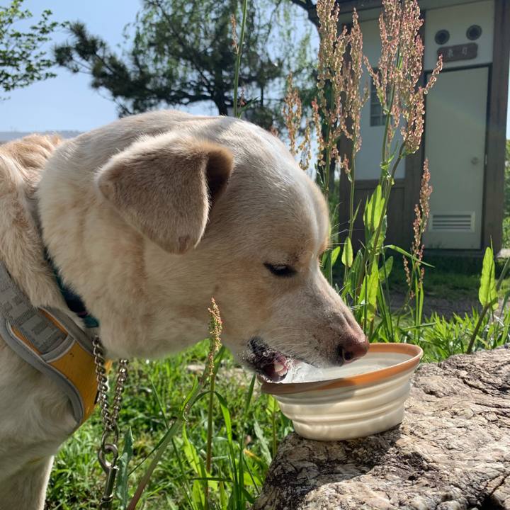 821935ae 7d15 4a99 b2f1 9b2ac37e99ad 1556754033919