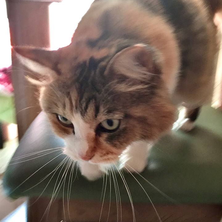 82199e0c 953e 4e55 8a2c 9b0a95dd4a8a 1598505623039