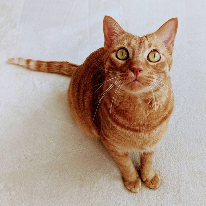 8219b1f5 0417 46f8 b756 744ae333cbb4 1653813005114