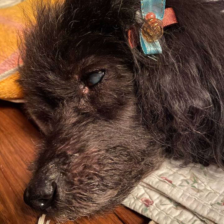 8219cdb7 37e3 4bbf 954a ad0e783142c6 1606321150625