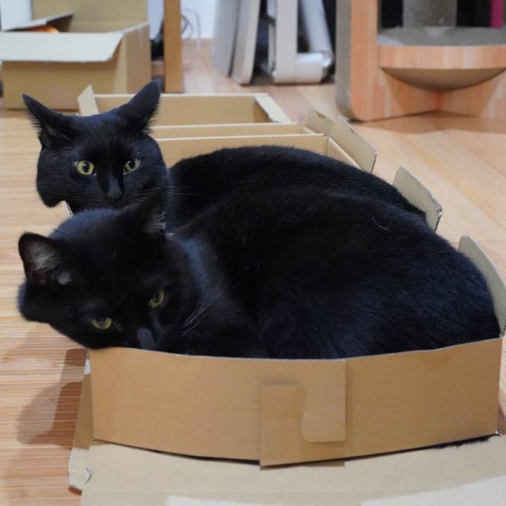 821a3c11 3010 42e8 aec3 c0fc0c11ad4d 1627133175218