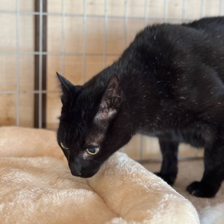 821a407e 3fbc 4265 ac96 964a0e5ed65d 1666836513059