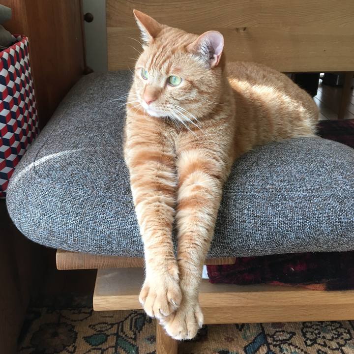 821ac010 f9ba 4adb 882f 187fe703755e 1555029830328