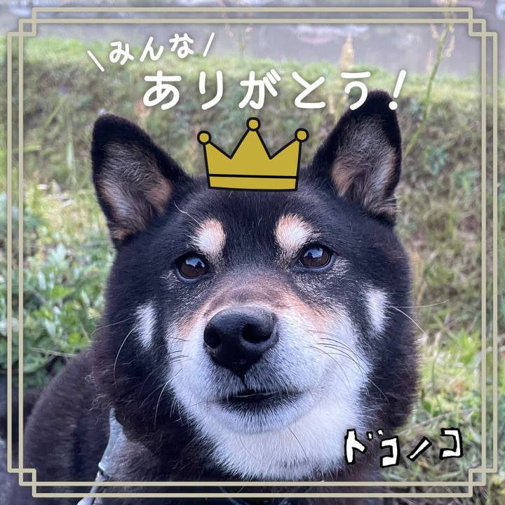 821acb74 d791 47af 880a 034883e4d78d 1622871422744