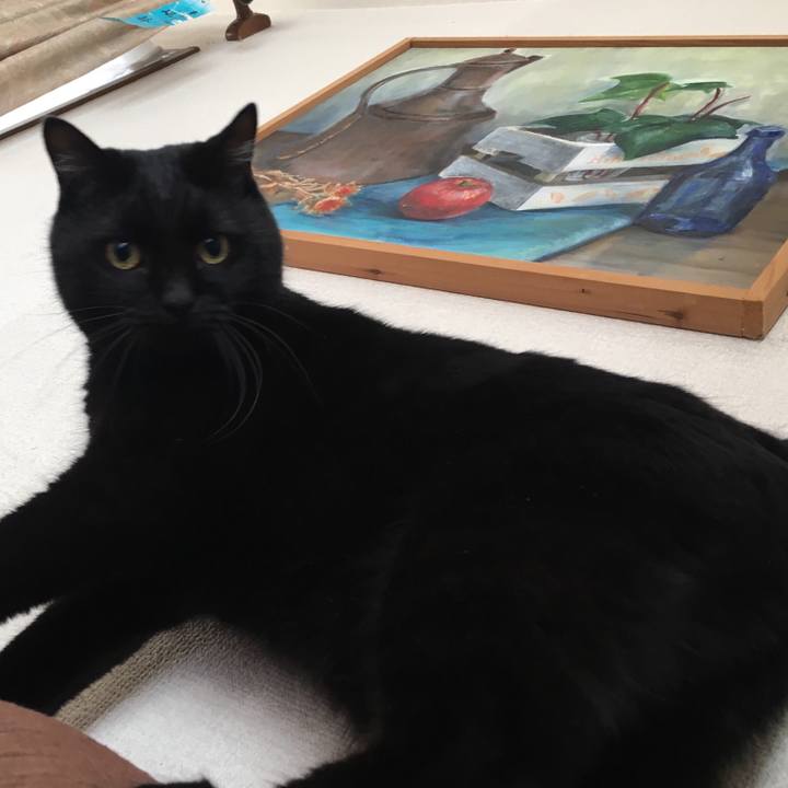 821accff 0504 4334 94a1 5e12a86d9ad1 1513486901873