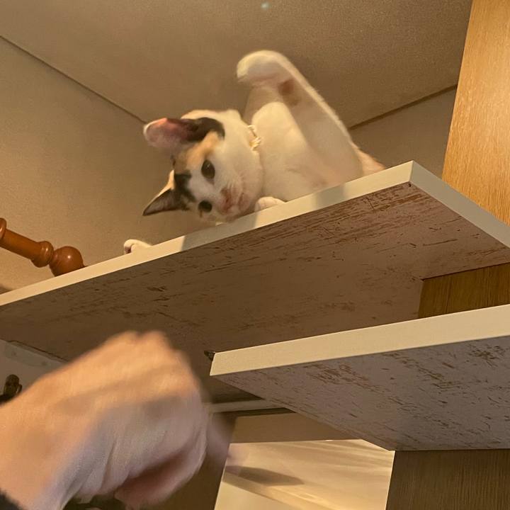 821ace6a cb8f 4a5a b2f7 138928cc52a2 1670482199383