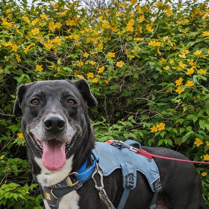 821b069c 8cf5 4b82 bf05 0a3d5c4c5335 1713402081105