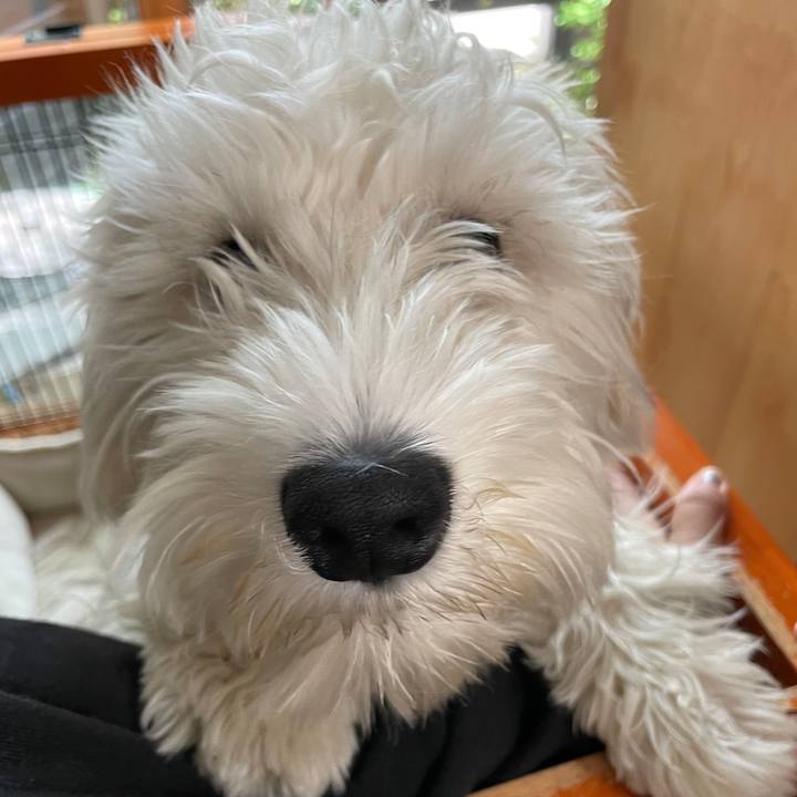 821b73ea 5dab 4669 84ee e0c7c994ecf8 1652171355945