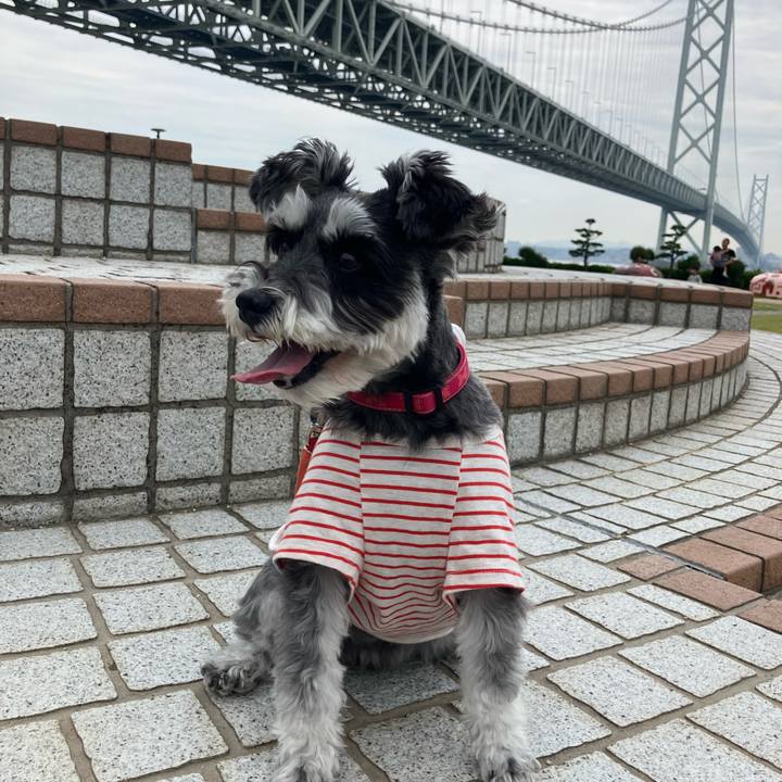 821b8051 2071 4f22 8d78 daddf2430f46 1749277451386