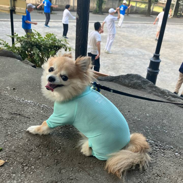 821b8d5a 6268 4265 a384 ac74c720bbcd 1755822127827