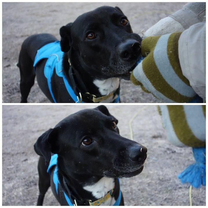 821bd75f bc85 468d b3ce 1e9f7e6b8883 1613782502317