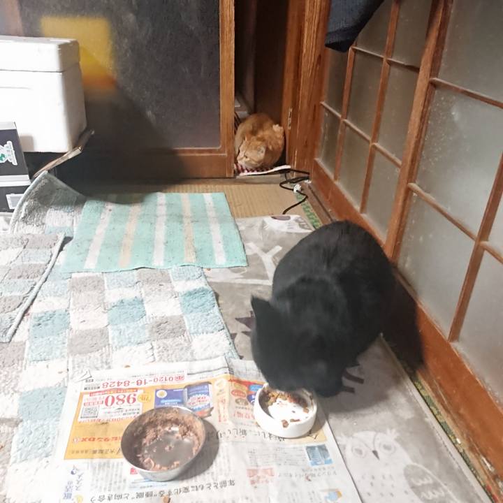 821c0420 c0cd 4422 989a 2edd0d5dcdf6 1647344790876