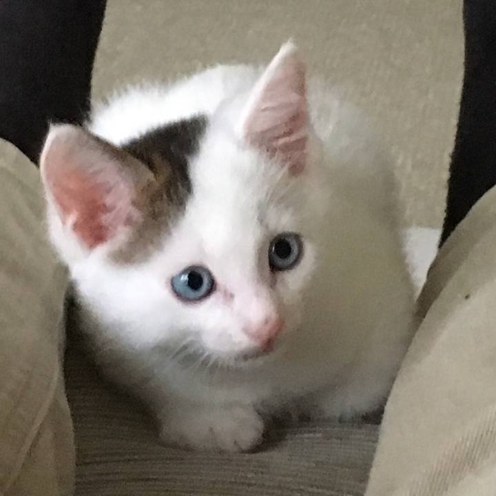 821c104d 16ac 4dff 8b00 c017756930b3 1535190820122