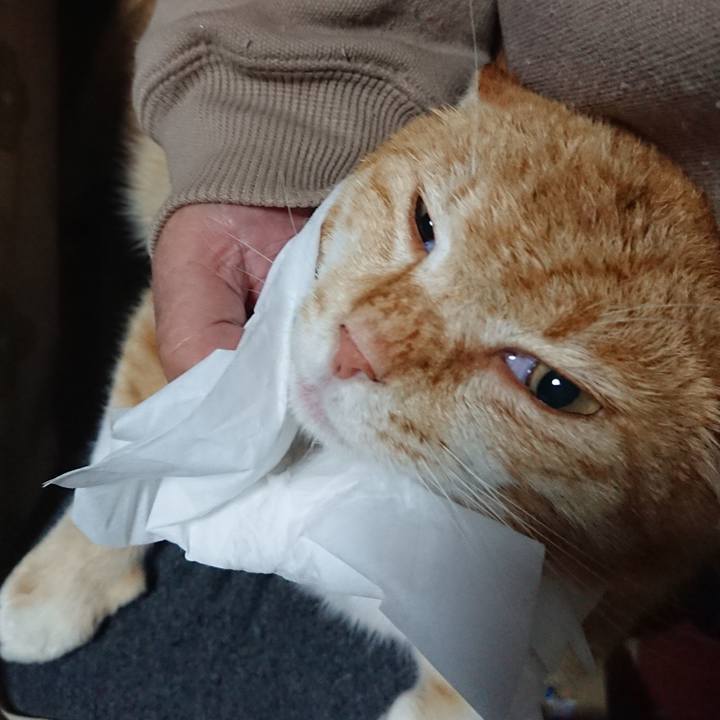 821c6067 801d 4583 a3ea 05392b6494fe 1584654637952