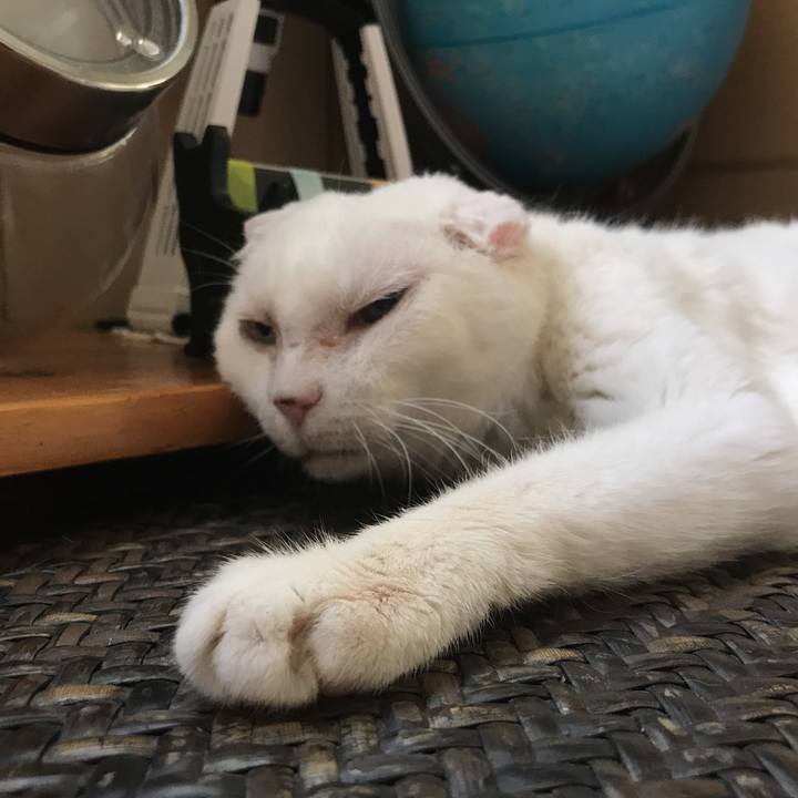 821cb422 3fac 4ccc 9e3a 00bc989f1d5e 1532824639274