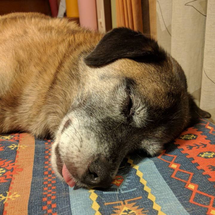 821cb99c c092 409a 9c73 bb27942abee6 1692836704135