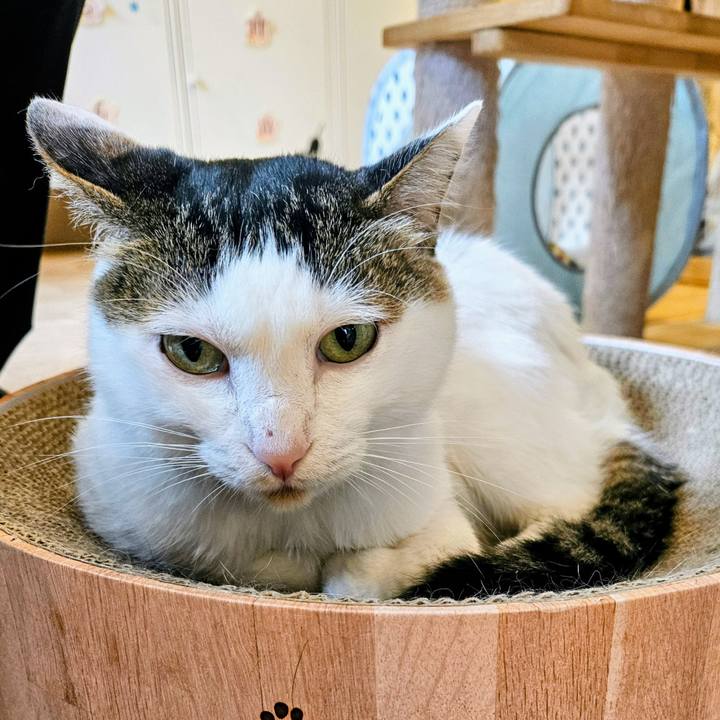 821ce0a0 1105 4006 9c6d c21b616fabff 1749007687521