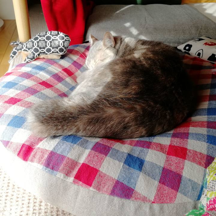 821ce249 fa9f 43a8 873c 398239fd942f 1555141449998