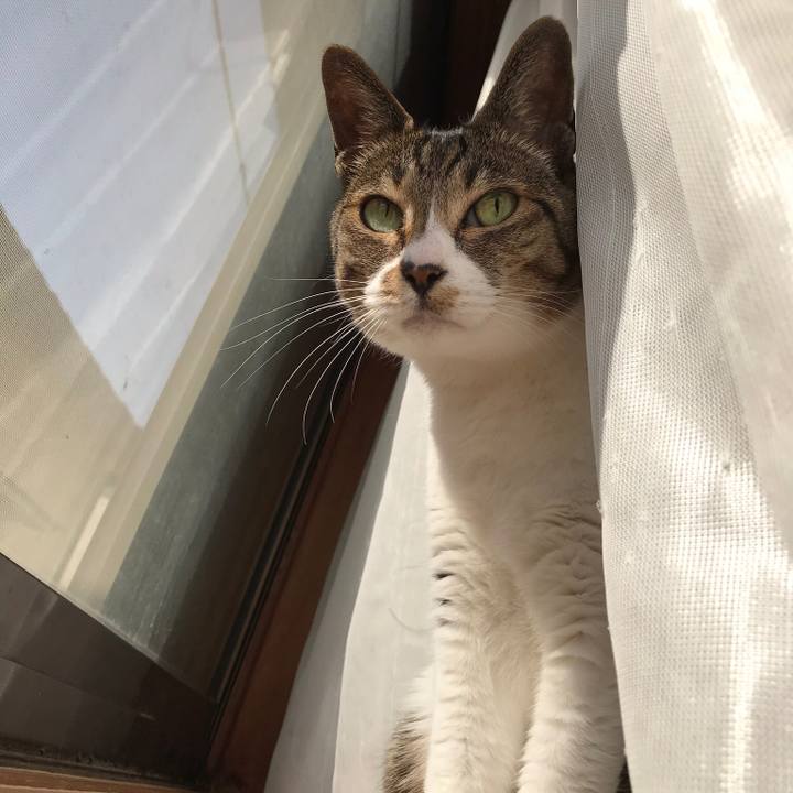 821cf3b2 ed0f 4fff a10c a9a3fd64c7ee 1520731910527