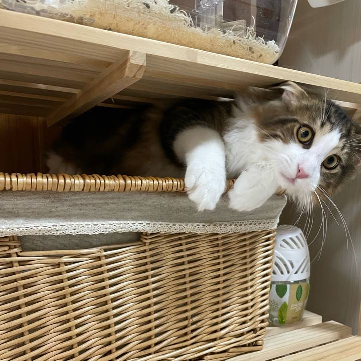 821cf55e 730a 40a8 b4d2 7dc40b316e1a 1637352239159