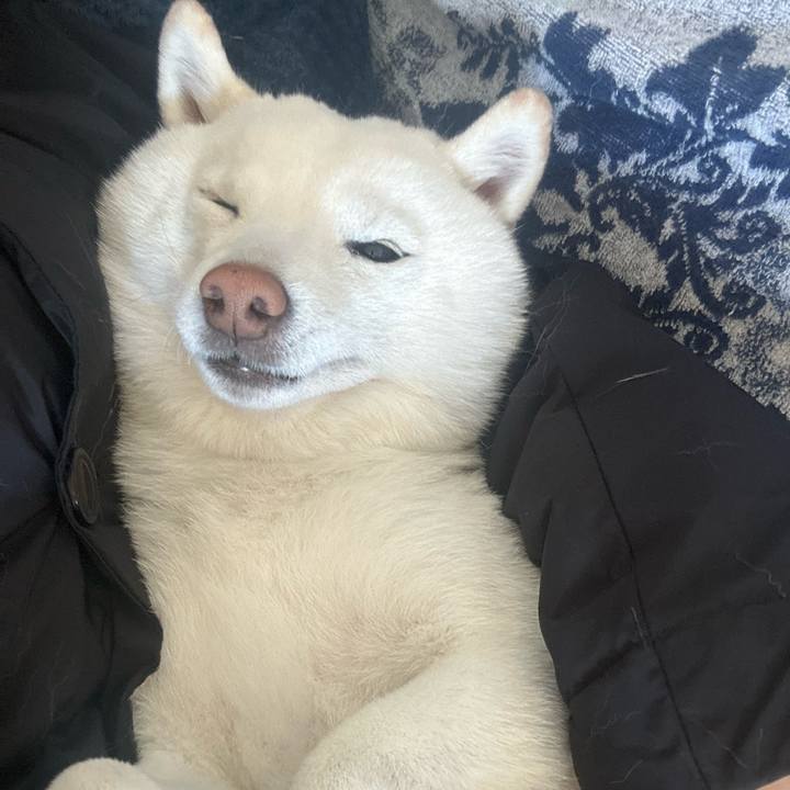 821d115e 4c70 45a2 82a4 0b2d0e2473c7 1768016509981