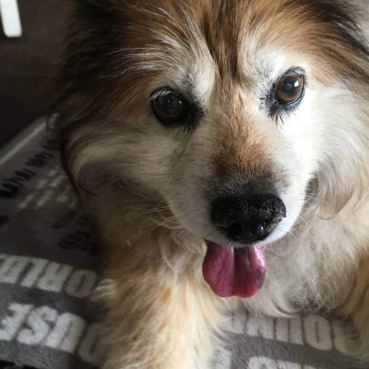 821d2843 25ba 47f9 a4ad 2a20a2eecff3 1623373948162