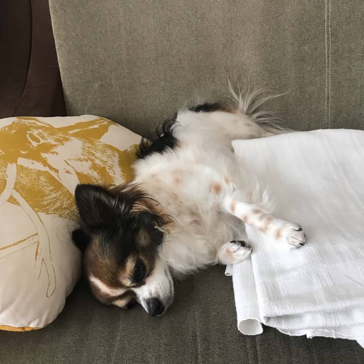 821d744c 9794 4c78 ba1a a31a0fa9e252 1563930077010