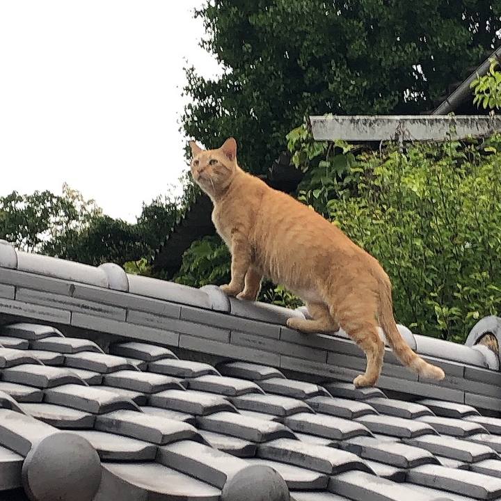 821d9f9c 2331 4521 ba81 366ca6625f2c 1660987144217