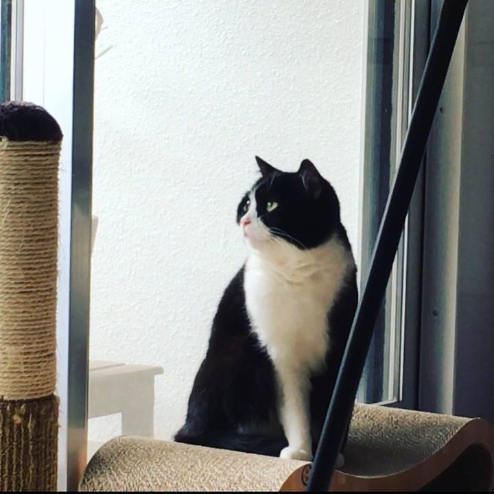 821da200 fbcb 4cc1 aa27 e1204473afd4 1619928464483