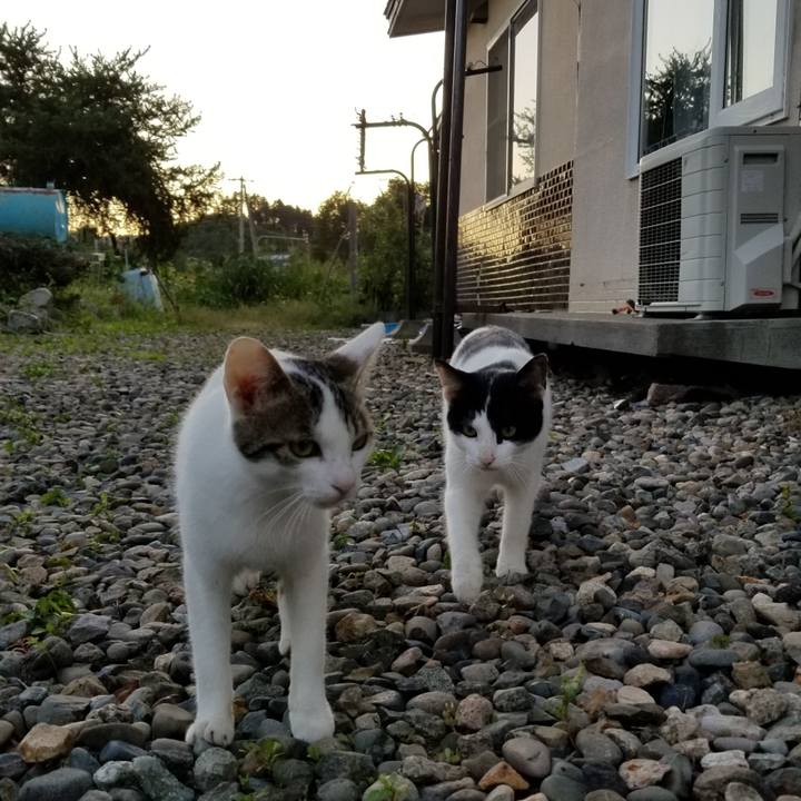 821dabcc c013 4502 9ff8 c380c28662db 1568382290781