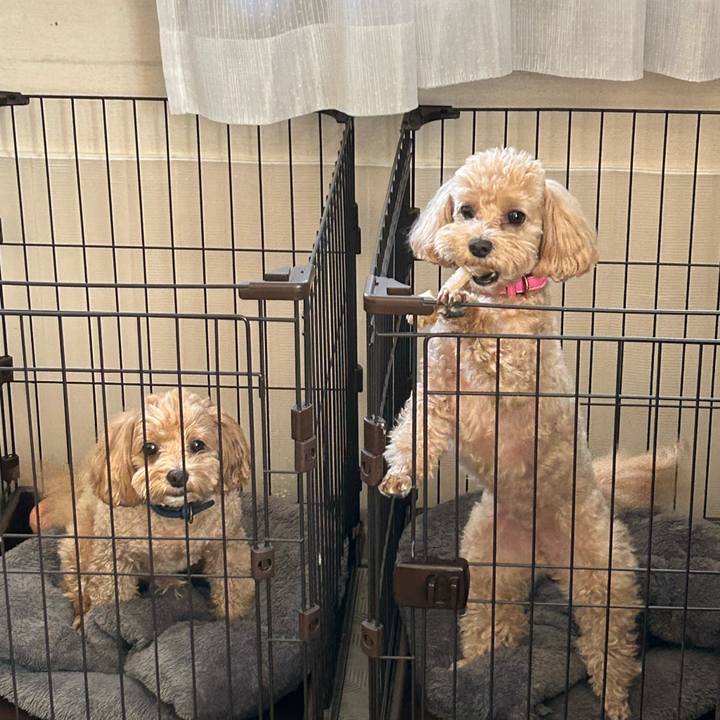 821dbb8e 424f 419c 8796 efbba0308b2a 1698470174871