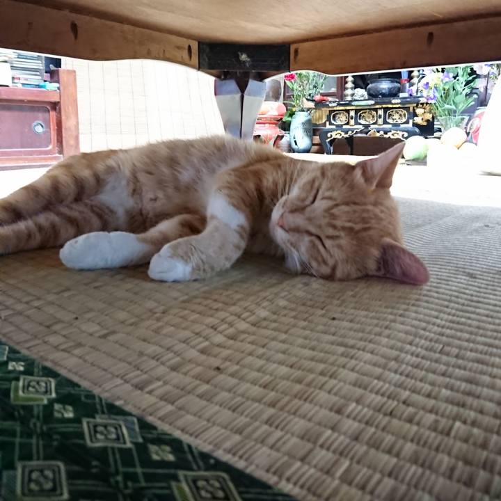 821dccb7 15fc 4321 9f0e 15d4f712be59 1566506986621