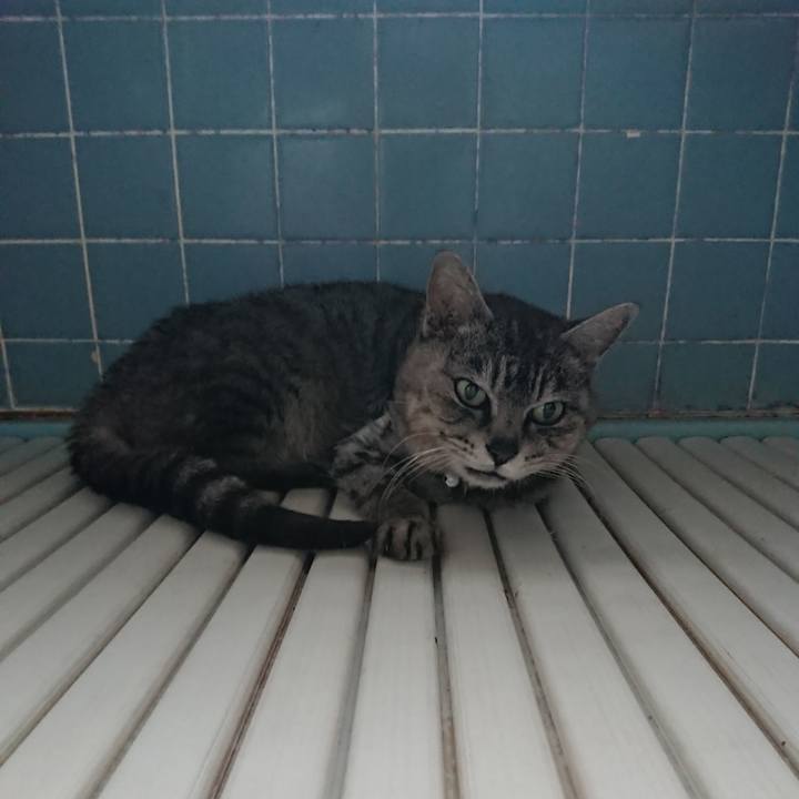 821dde4d 3ee5 48f9 ae55 dac9e59551ae 1589879166392