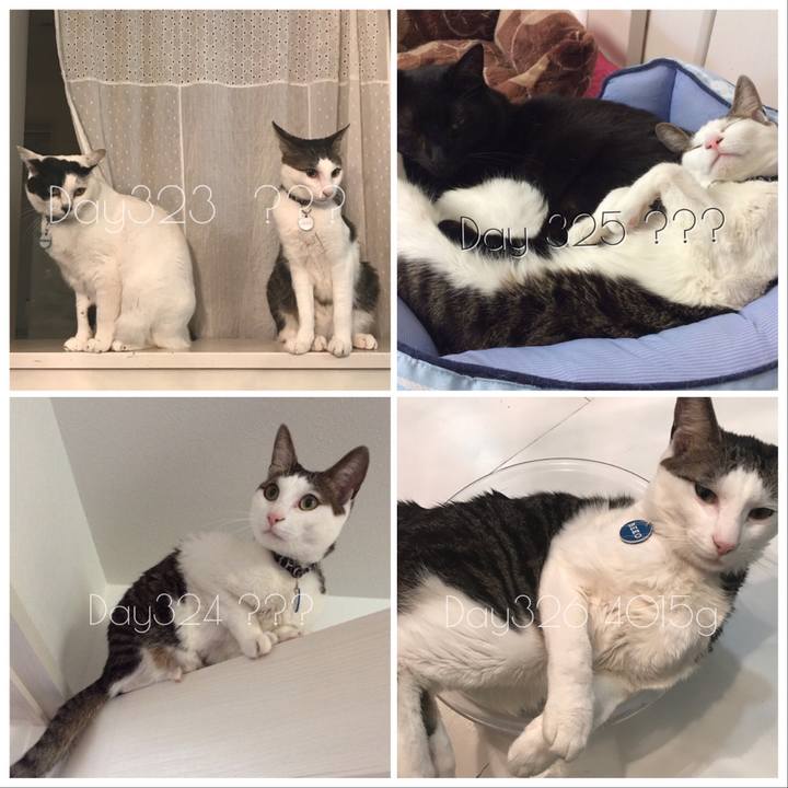 821df7e1 c079 47a2 b6d9 32b598e92b80 1523794758931