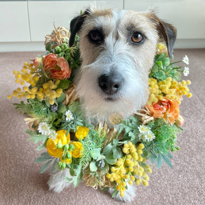 821e083f f9f1 409e 950b 60edd6dcfcb3 1646714045663