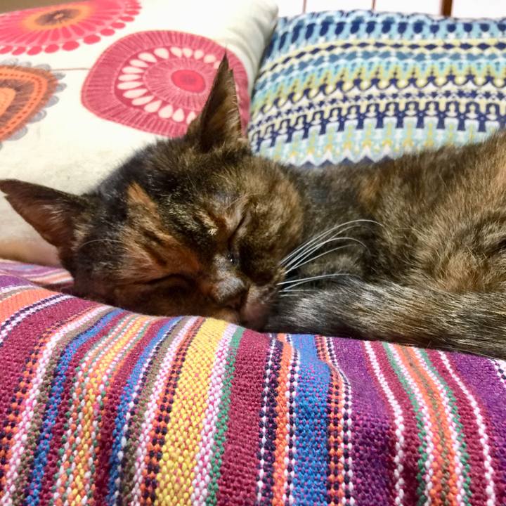 821e1733 6b6d 42a7 b3ea 64940ef906de 1648988679010