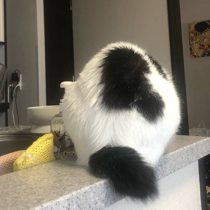 821e1ae4 f8ea 4175 aff9 02ad67a9195b 1599794852909