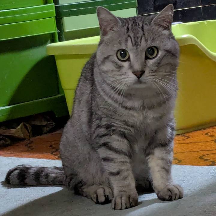 821e1b9d 62b4 4c4a 9464 9cb58c1b6343 1747833772636