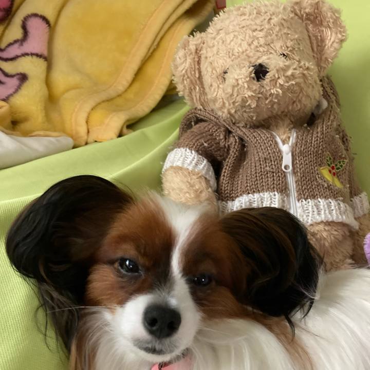 821e3c23 16f6 4758 8115 dbedc1d3a72a 1633958318364