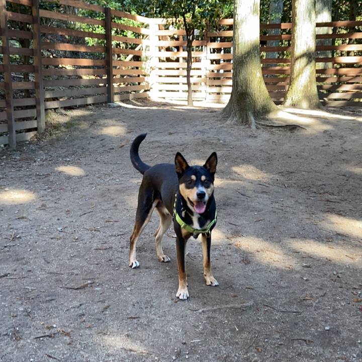 821e3e53 02fa 403f af3d ad17ced2b9cd 1638188060864