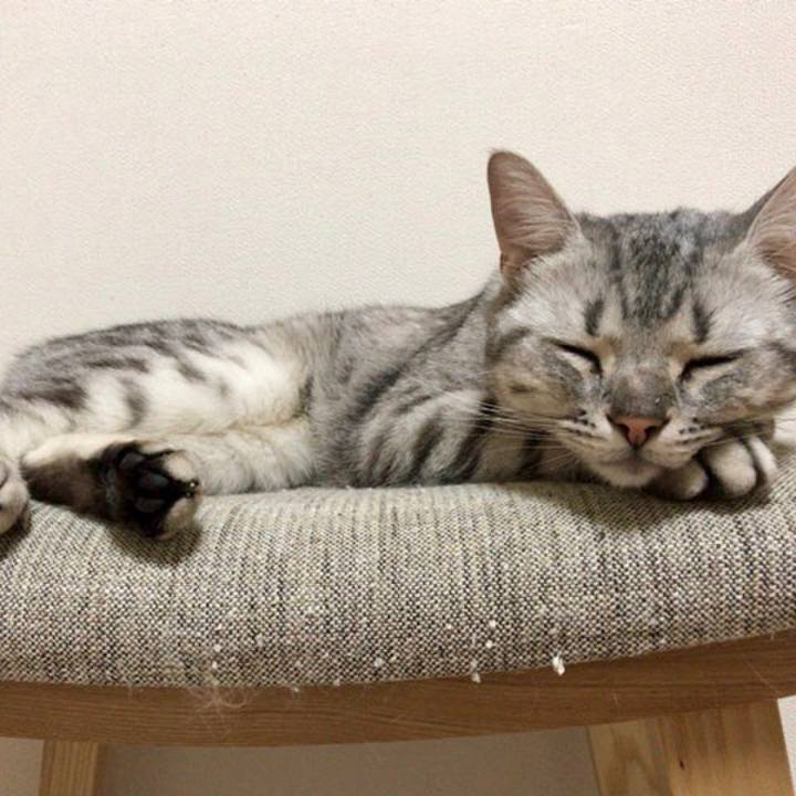 821ea543 af62 4c3e 8d38 324388eb225a 1527773761351