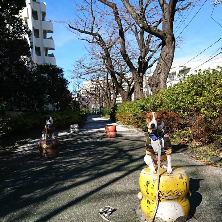 821f16c5 0f6c 4012 8c8f 72e92d71ba56 1615681074467